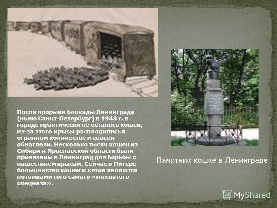Недостаток кислорода в блокадном ленинграде. Санки блокадного ленинграда. Блокадный ленинград в цвете. Ленинград 900 дней мужества. Ленинградская блокада и битва за ленинград.