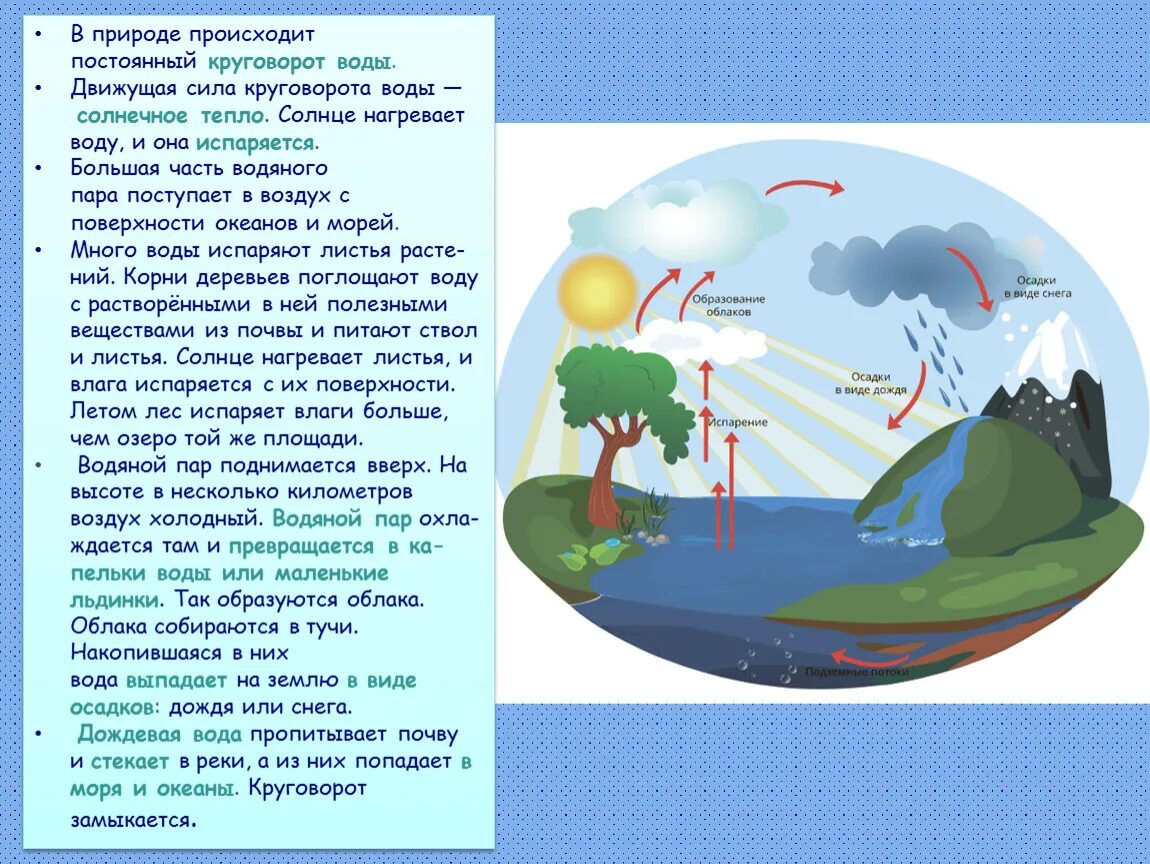 Круговорот воды в природе 5 класс география. Большой и малый круговорот воды в природе. Круговорот воды в природе малый и большой круговорот. Круговорот воды в природе начальная школа.