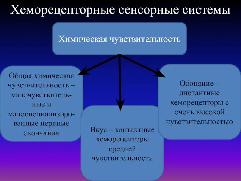 Сенсорная пониженная чувствительность. Чувствительность сенсорных систем. Чувствительность сенсорной системы. Абсолютная чувствительность сенсорной системы это. Сенсорная адаптация.