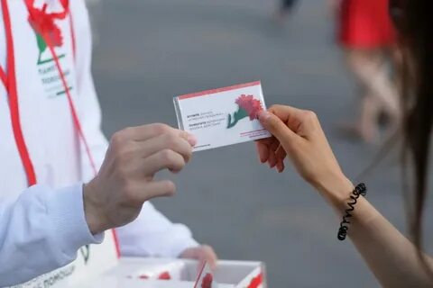 Красная гвоздика телефон
