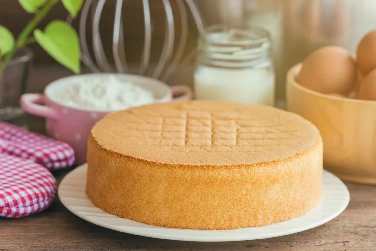 Бисквитное тесто в духовке. Спонж кейк бисквит. Воздушный бисквит для торта. Круглый бисквит. Пышный бисквит.