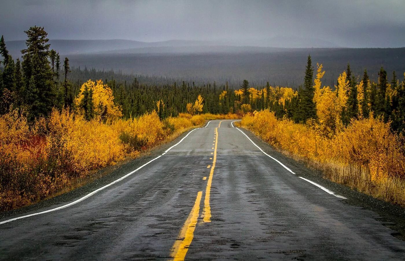Автомагистраль Аляска. Красивые дороги. Красивая дорога.
