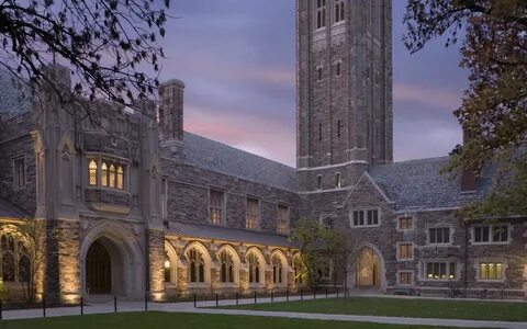 Princeton university