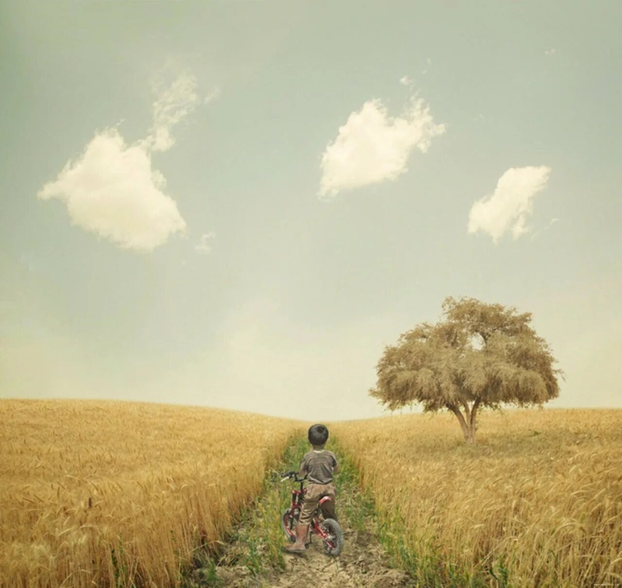 Бежал через поля. Человек вдалеке. Дети бегут в поле. Дети бегают в поле. Счастливая девушка.