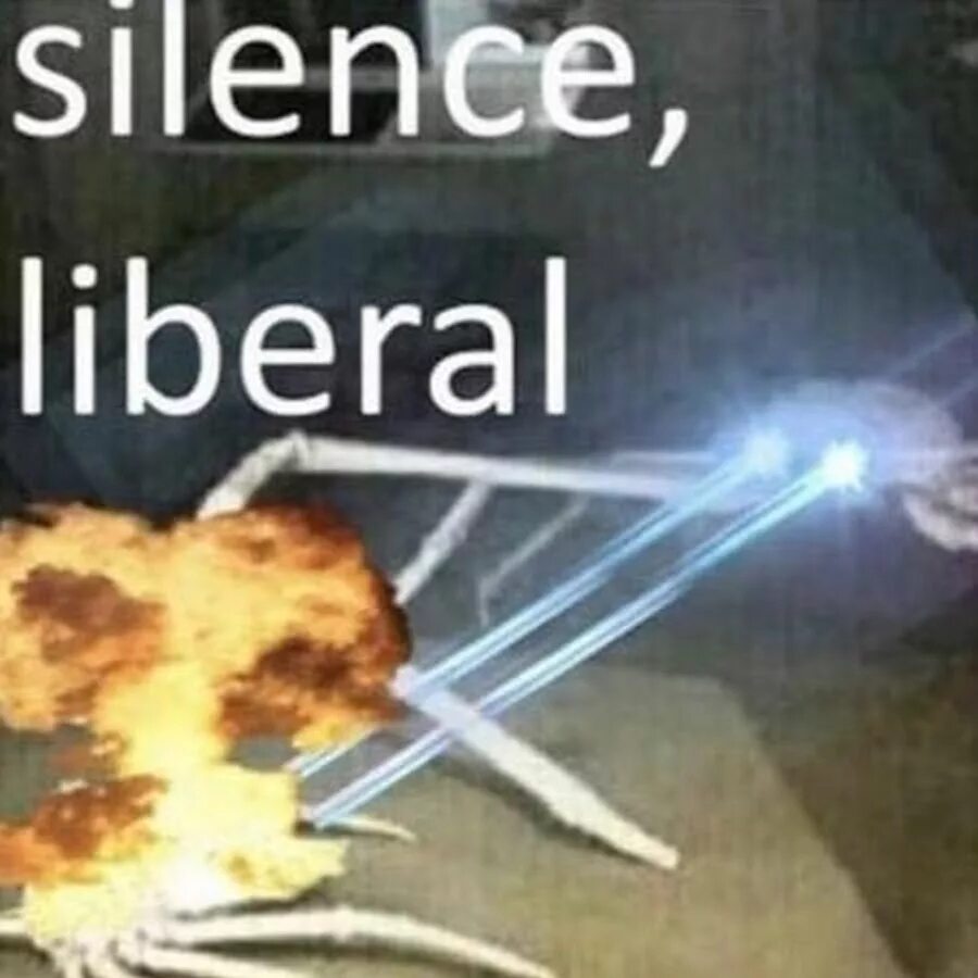 Silence liberal. Silence meme. Silence meme. Silence liberal meme. Silence liberal.