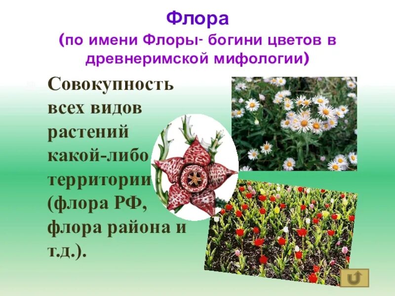 Аргентина Выполнили Просвирнин Иван Сирый Семён Хабибуллин Артём