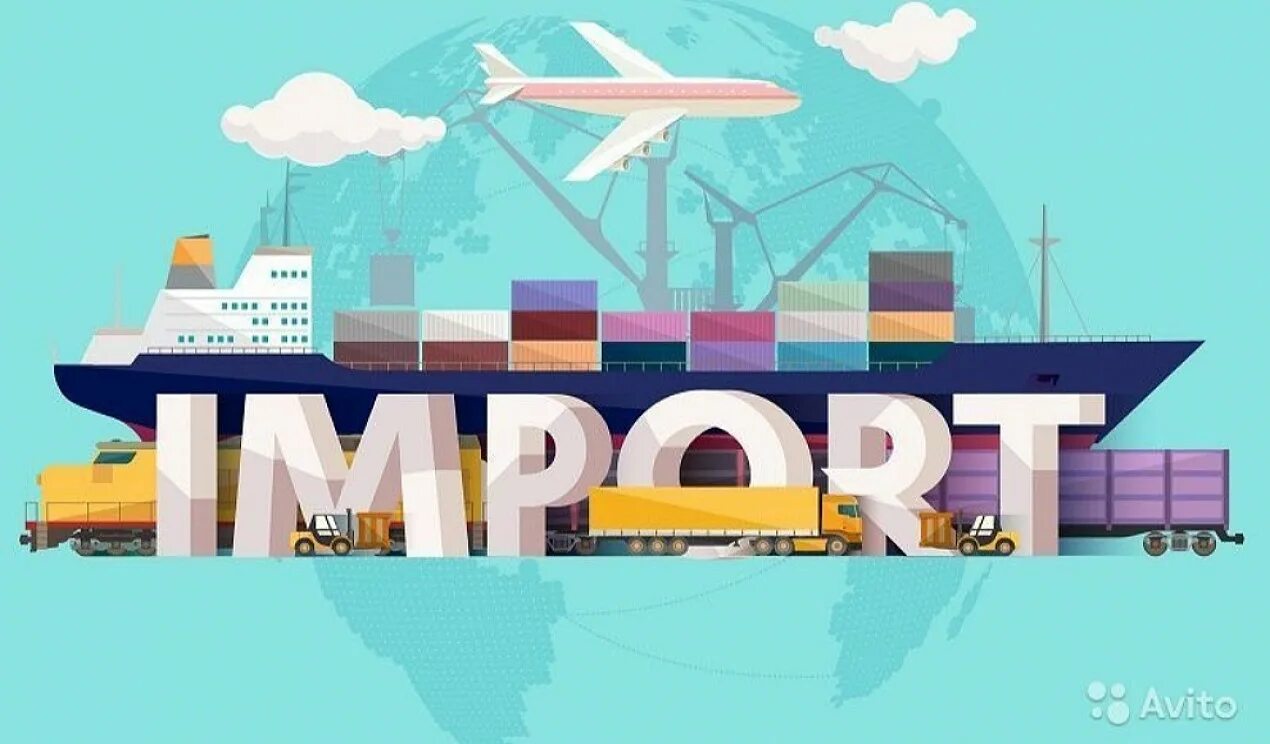 Ningbo youngor international trade transportation co ltd