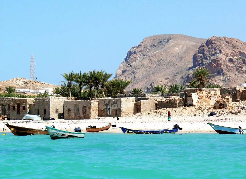 архипелаг сокотра. архипелаг сокотра йемен. сокотра отдых. сокотра отдых. остров сокотра отели.