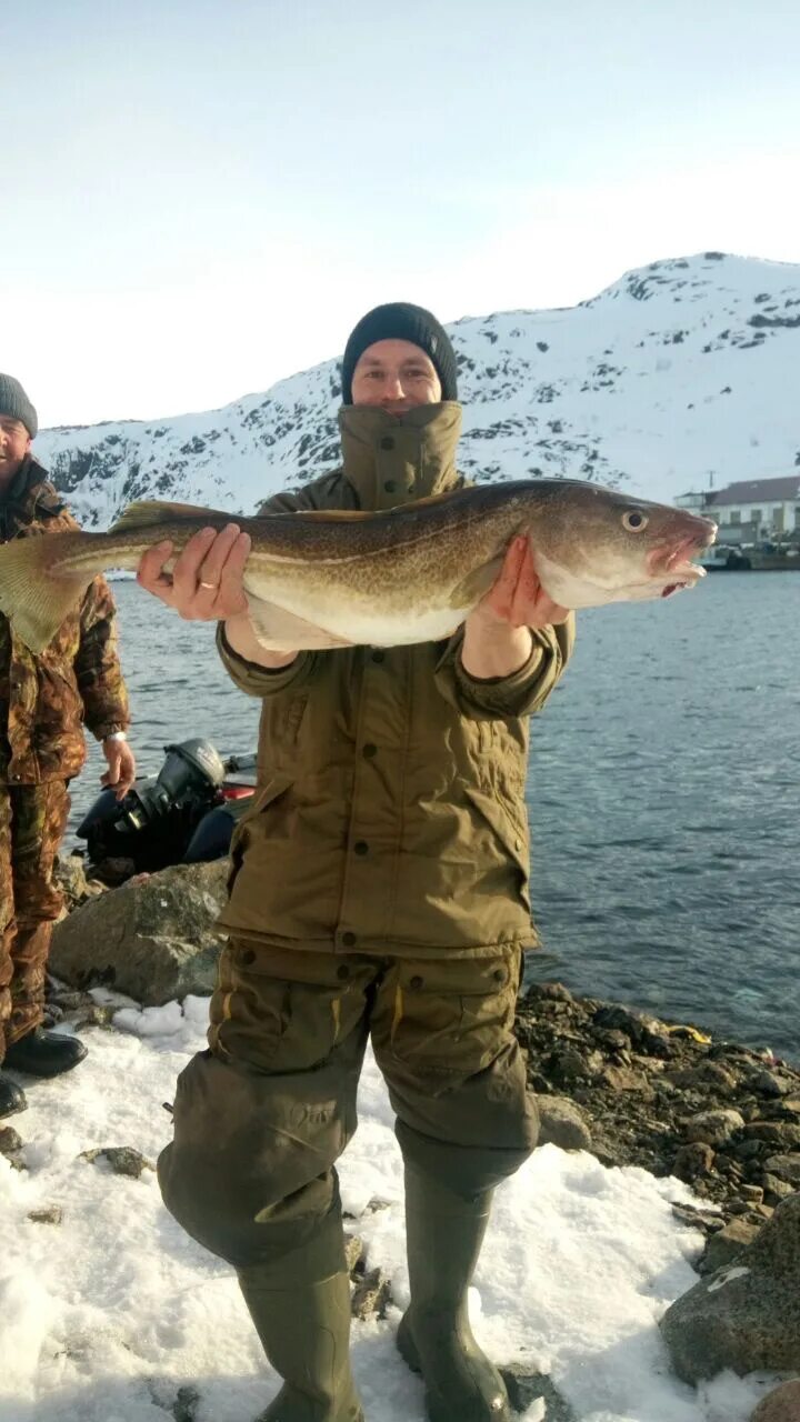 Рыбалка на треску в баренцевом море. Морская рыбалка териберка. Треска рыбалка. Рыбалка в мурманске на треску. Териберка рыбалка в баренцевом море.