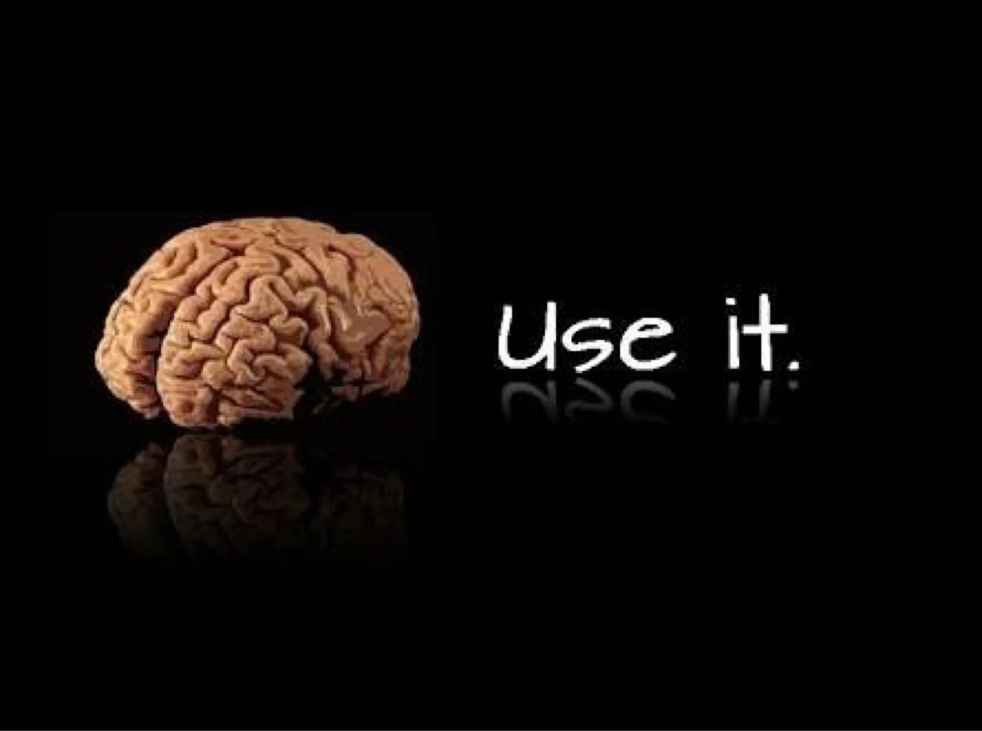 Use it перевод. Мозг use it. мозг заставка. use it мозги. use it картинка.
