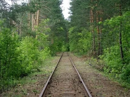 Железнодорожное лесничество
