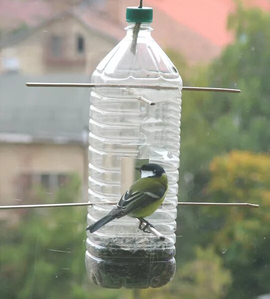 Кормушка дарэлл 1081 eco 2 x 500 мл. Кормушка из подручных материалов. Кормушка для птиц на окно из бутылки. Кормушка для птиц на окно из бутылки. Кормушка для синиц прозрачная.