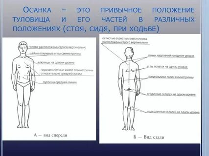 Какого было их положение ответ