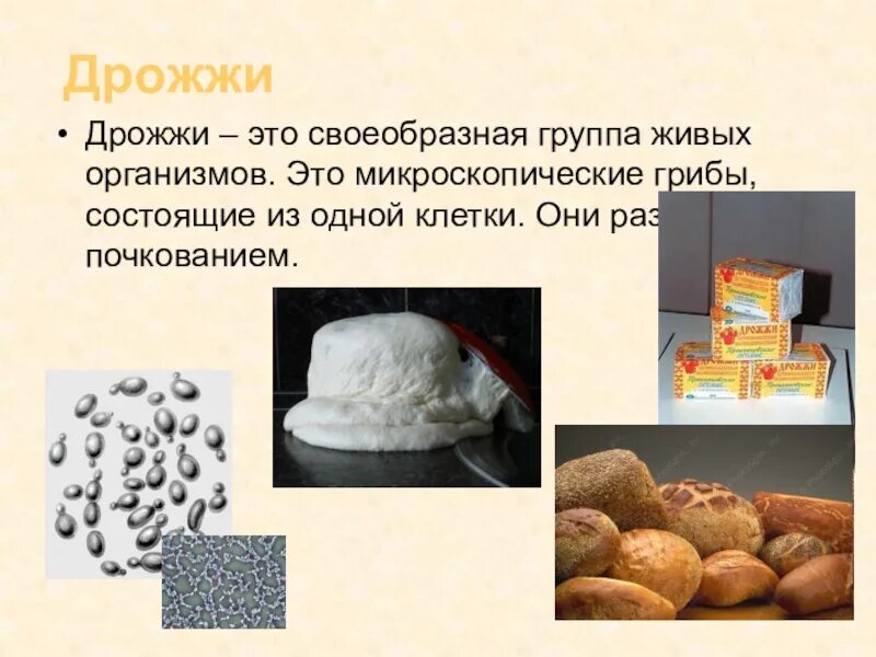 Как сделать дрожи