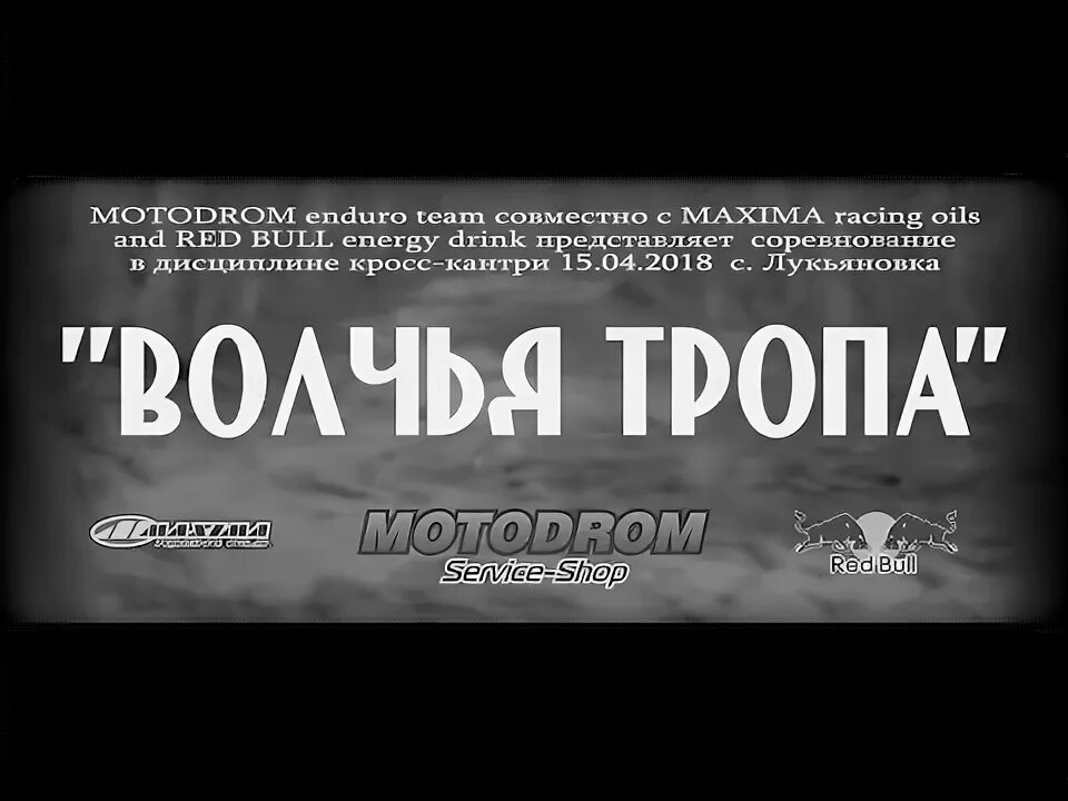 Волчьи тропы. Волчьи тропы 2022 павлово. Эндуро тамбов. Волчьи тропы тамбов. Эндуро тамбов.