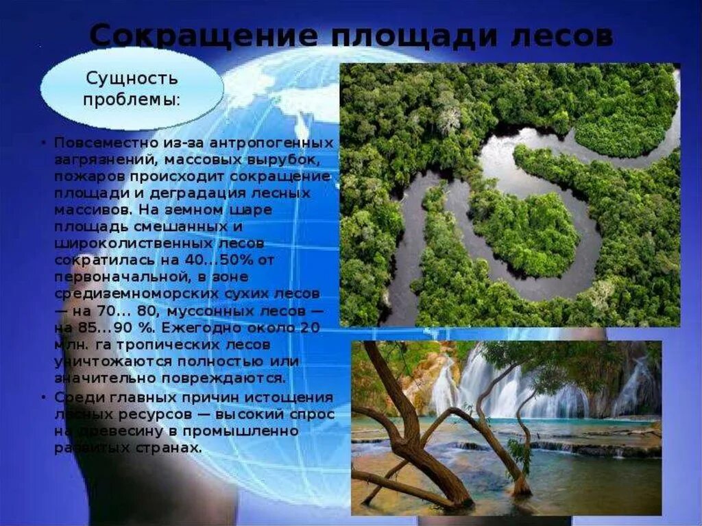 Сокращение площади лесов. Истребление лесного покрова земли. Площадь лесов сокращается. Динамика изменения площади лесов в мире. Последствия сокращения лесов.