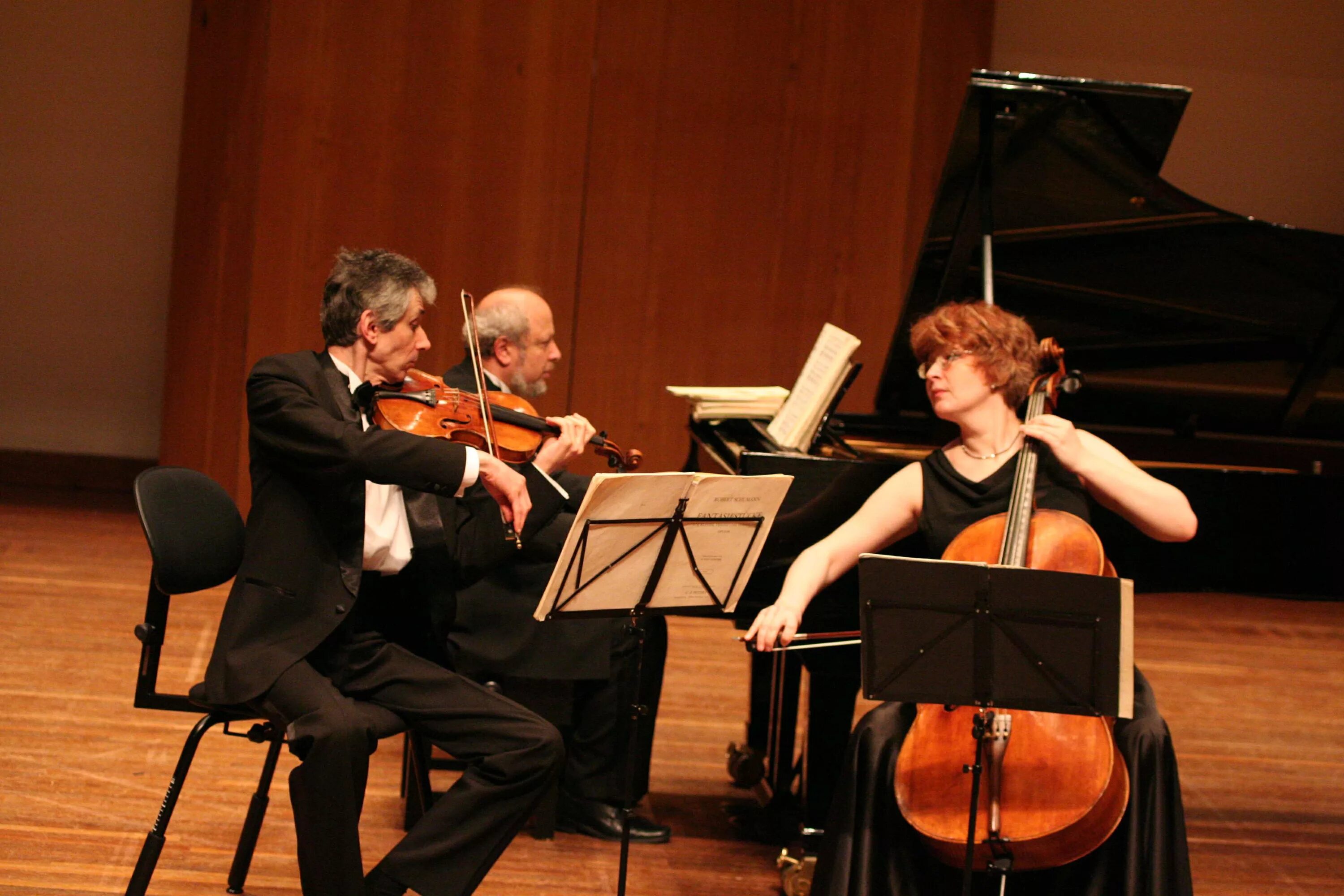 Джаз трио. Инструментальное трио. Трио оркестр. Джазовый центр ярославль. Новогодний концерт в московском доме музыки бутман.