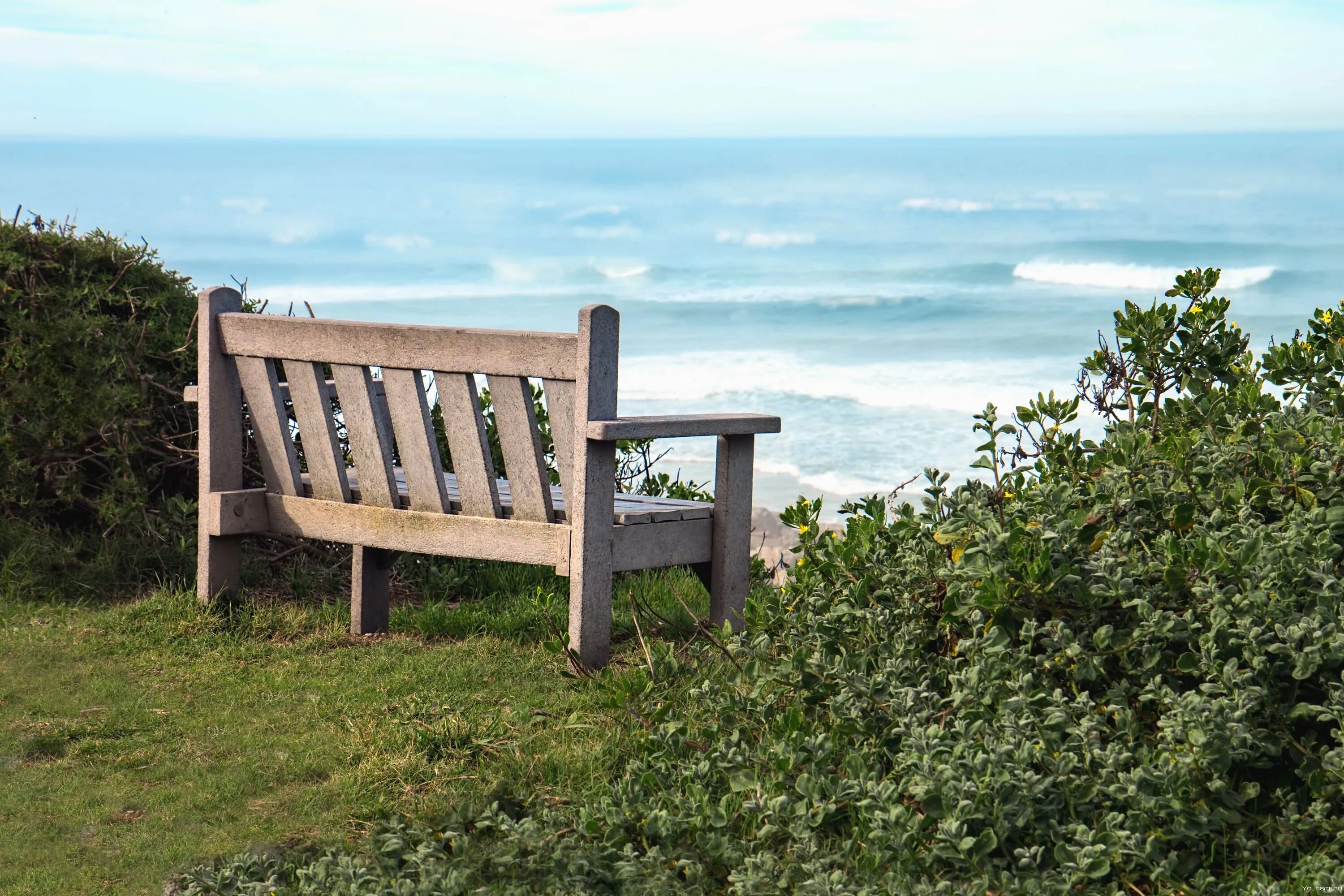  водные скамьи. Царицыно парк скамейки. Лавочки красного пруда измайловского парка. Скамья на природе. Лавка в воде.