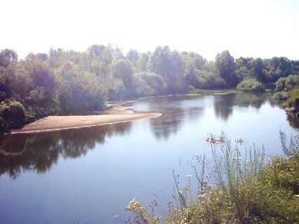 Луши фото