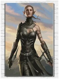 Divinity original sin воин