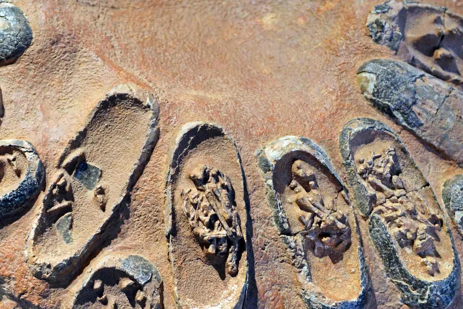 Fossil egg