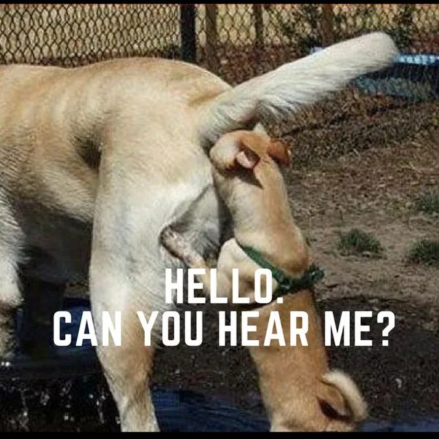 Сделай вдох. Успокойся все равно уже. Сделай вдох. Цитаты со смыслом мотивирующие. Цитаты про тупик в жизни.