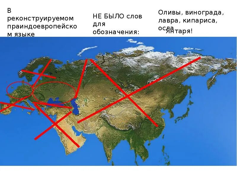 Арии кто это. Кто такие древние арии. Древние арии в истории. Арии кто они и откуда пришли.