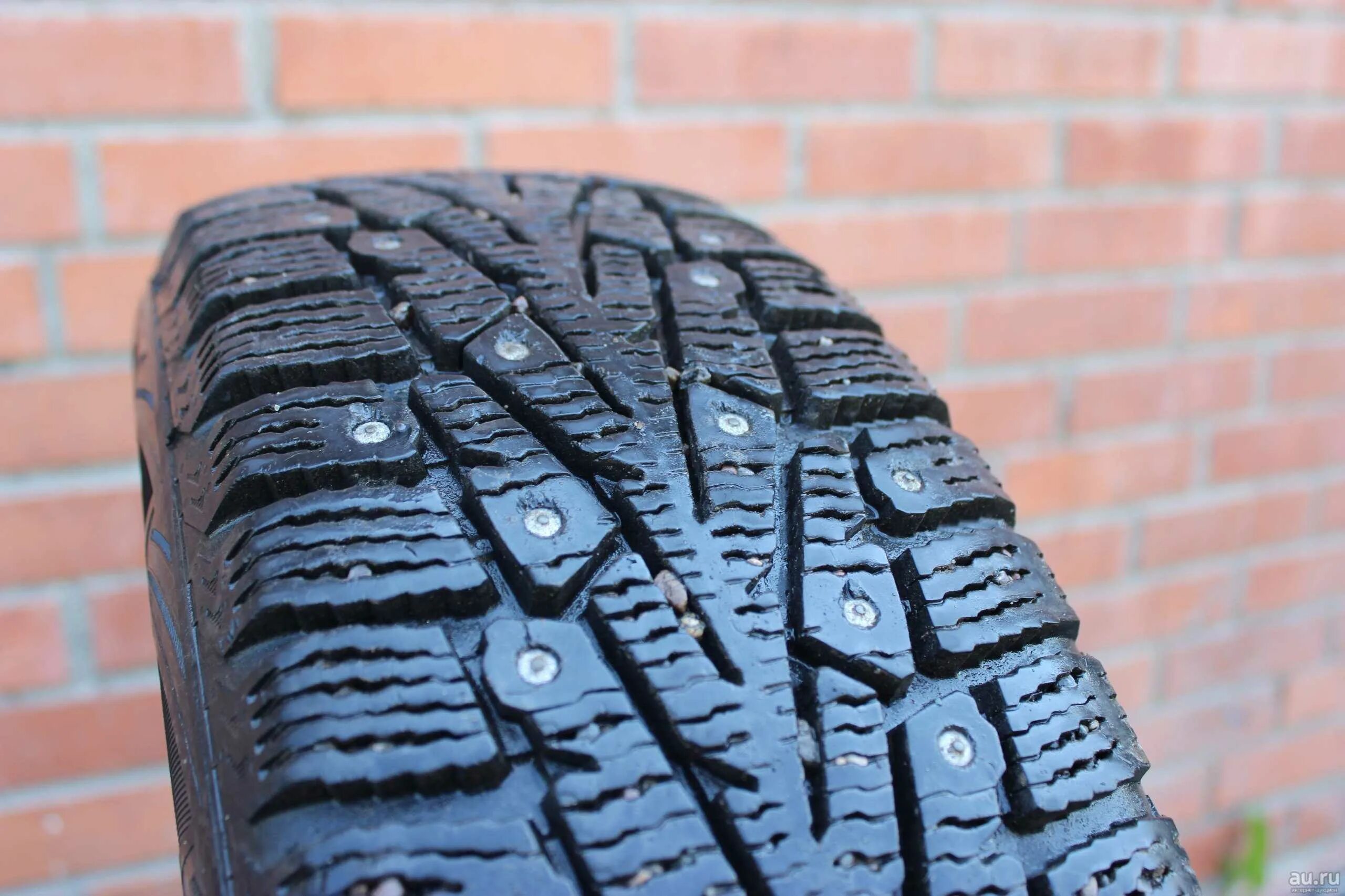 Кордиант сноу кросс 1. Cordiant snow. Cordiant snow cross 2 r15. 175/65/14 82t cordiant snow cross. Cordiant snow cross 245/70 r16.