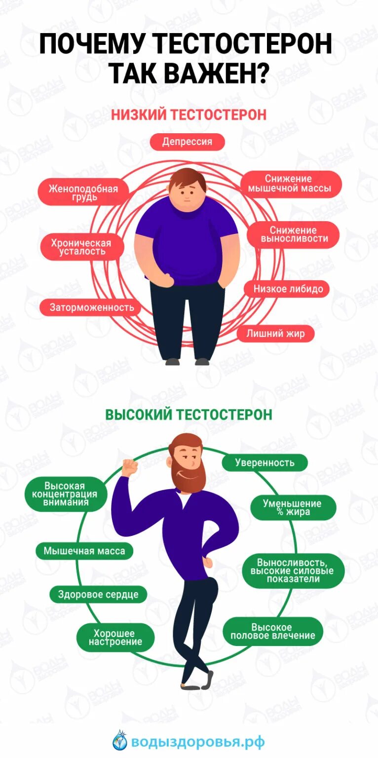 Повышение тестостерона у мужчин. Продукты понижающие тестостерон. Продукты повышающие тестостерон. СН жение тестостерона у мужчин. Продукты для тестостерона у мужчин.