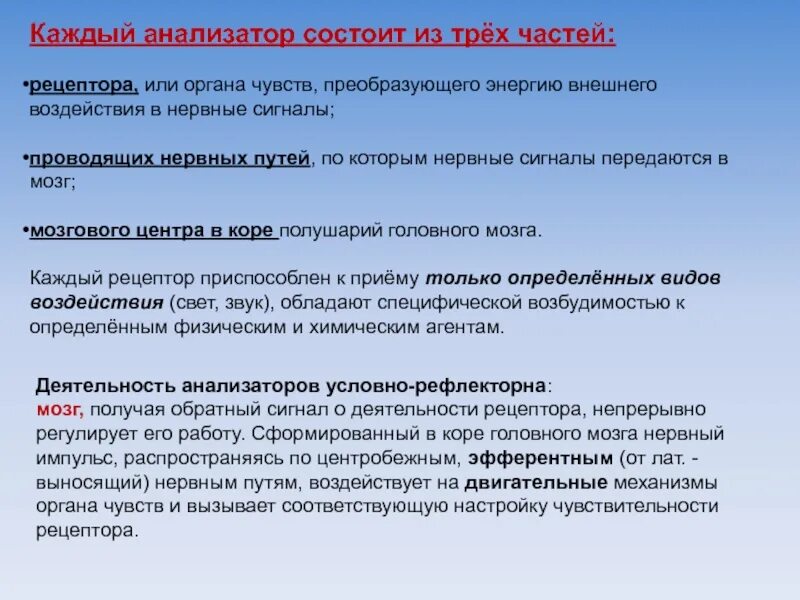 Преобразование раздражения в нервные импульсы. Каждый анализатор состоит из. анализатор состоит из рецептора преобразующего энергию. каждый анализатор состоит из трех частей. рецептор преобразует сигналы в нервные импульсы.