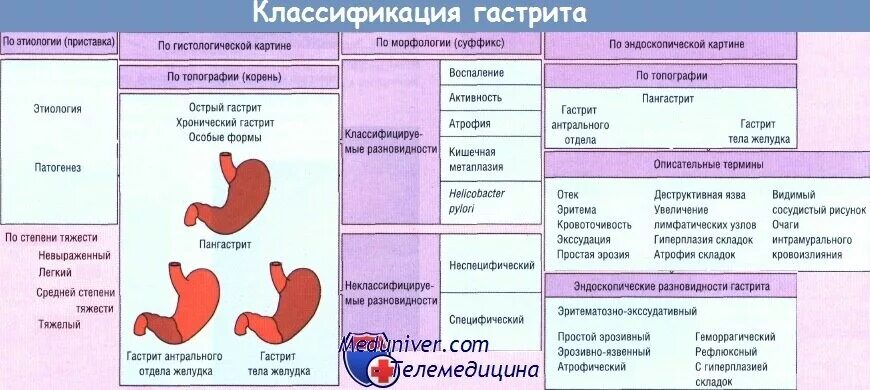 Гастрит таблица. Классификация антрального гастрита. патогенез хронического гастрита таблица. классификация и стадии развития острого гастрита. острый и хронический гастрит схема.