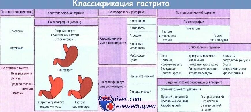 Гастрит 2 стадии. Классификация антрального гастрита. Патогенез хронического гастрита таблица. Классификация и стадии развития острого гастрита. Острый и хронический гастрит схема.