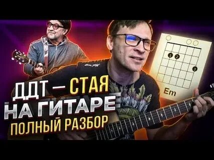 Ддт стая