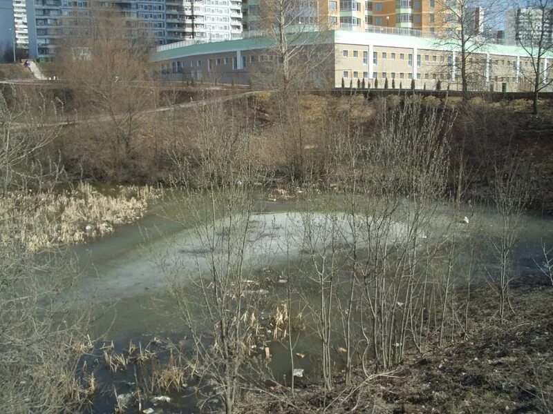 Московское болото. Пруд Раменка. Сукино болото в Москве. Сукино болото Печатники. Москва улица Удальцова река Раменка.