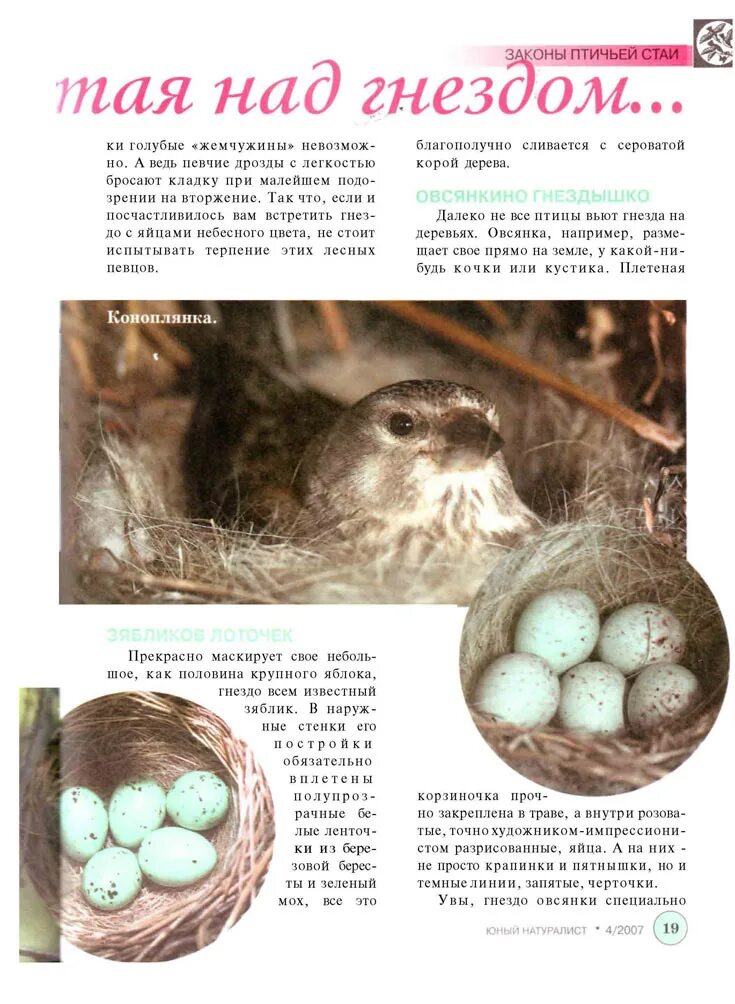 Советский журнал юный натуралист. Детские журналы юный натуралист. Журнал юный натуралист первый выпуск. Юный натуралист журнал ссср. Обложки детских журналов юный натуралист.