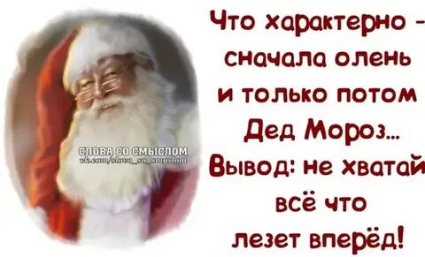 Продам дрова недавно наломала