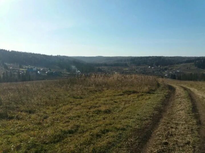 Участки новокузнецком районе. Деревня таловая новокузнецкий район. Сосновый бор новокузнецкий район. Снт энергетик новокузнецк. Село куртуково новокузнецкого района.