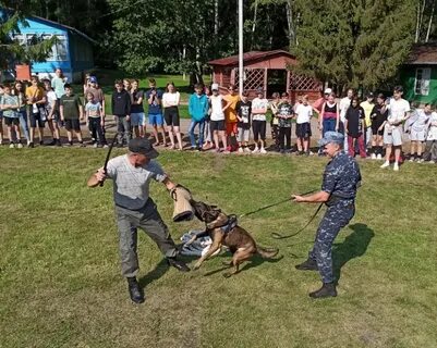 Зарядка со стражем порядка