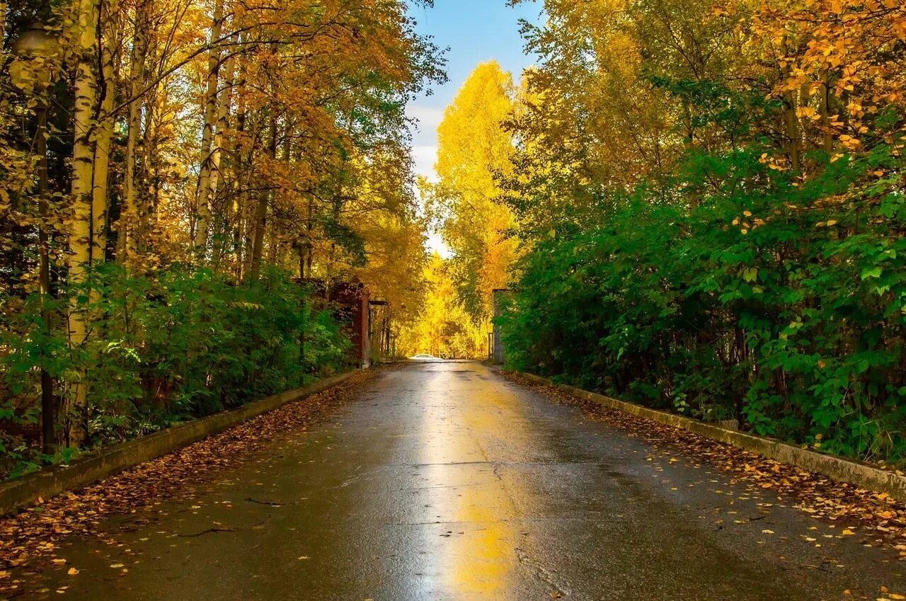 Осенью 2019 года. Нижневартовск осень. Осенний Нижневартовск. Осень в Нижневартовске фото. Нижневартовск природа.