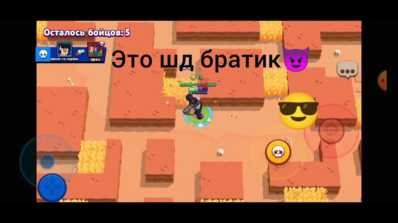 Что значит шд
