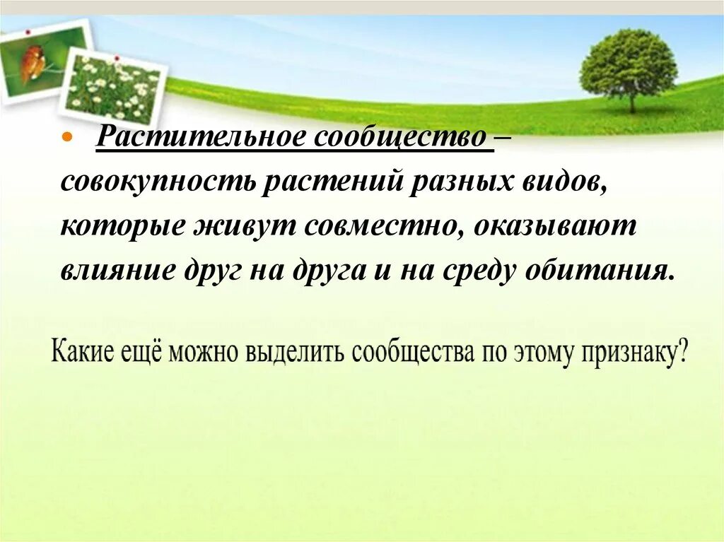 Сообщество обитающих совместно организмов разных видов вместе. Совокупность растений. Растительное сообщество это совокупность. Растительные сообщества это природная совокупность растений.