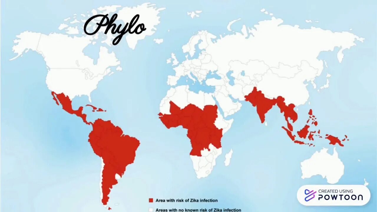 Зика карта. Zika world distribution. Вирус зика карта распространения. Zika world distribution. Area of risk.