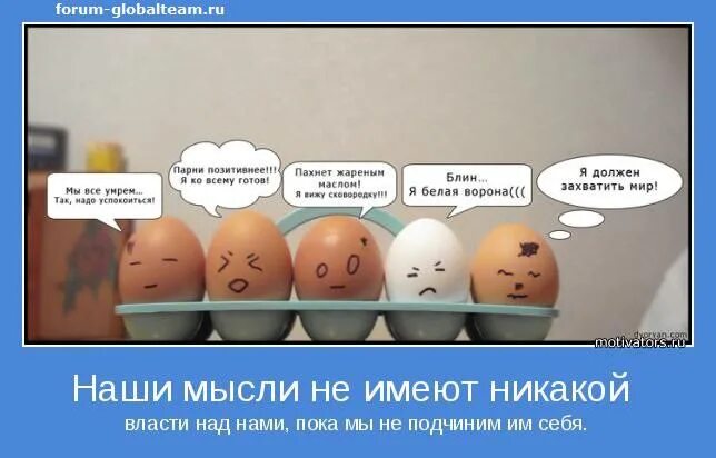 4 пачки соли и не пересолишь. 4 пачки соли и не пересолишь