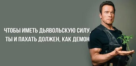 Правила шварценеггера