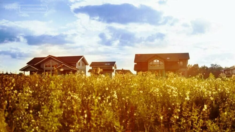 ушаковские дачи 2. фон за окном поселок. истра дачный поселок 2. лето в деревне. дачи 2 москва.