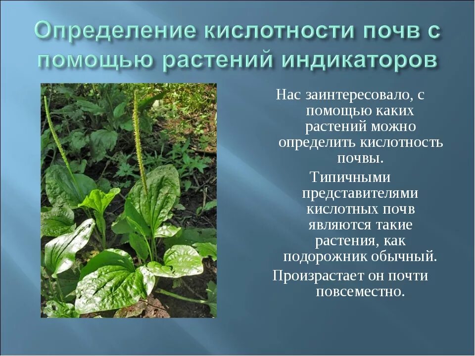 Как кислотность влияет на почву