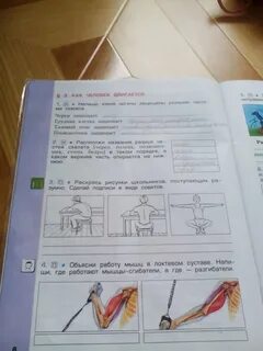 Подпиши рисунки используя слова