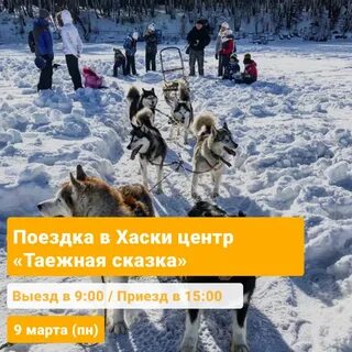 Хаски сказки смысл