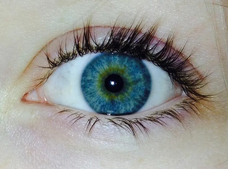 Eye of my eye