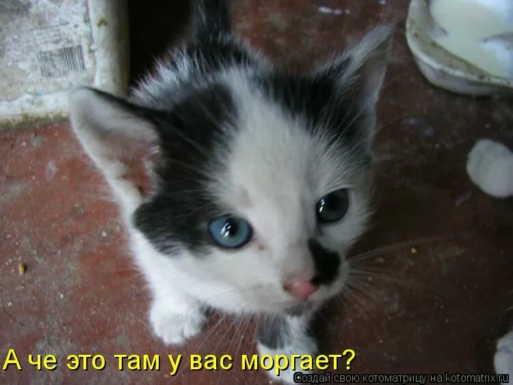 Я хочу спать мем. Че ты мне подмигиваешь песни. Подмигнуть шутка. Ты че. Ты че.